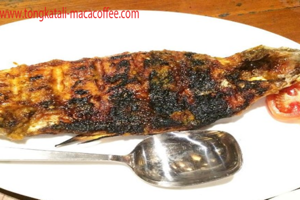 Ikan Jelawat Bakar atau Gulai