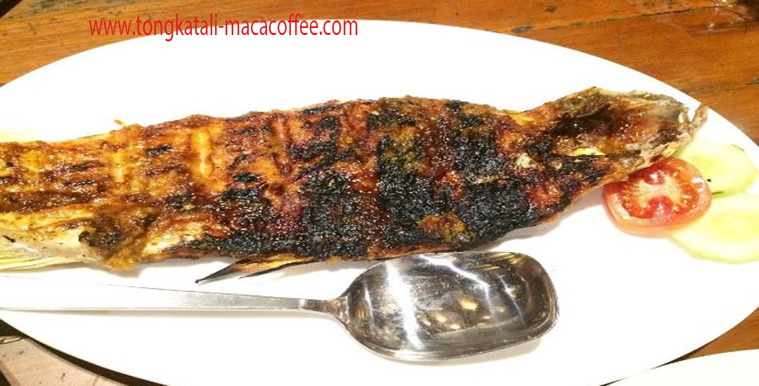 Ikan Jelawat Bakar atau Gulai